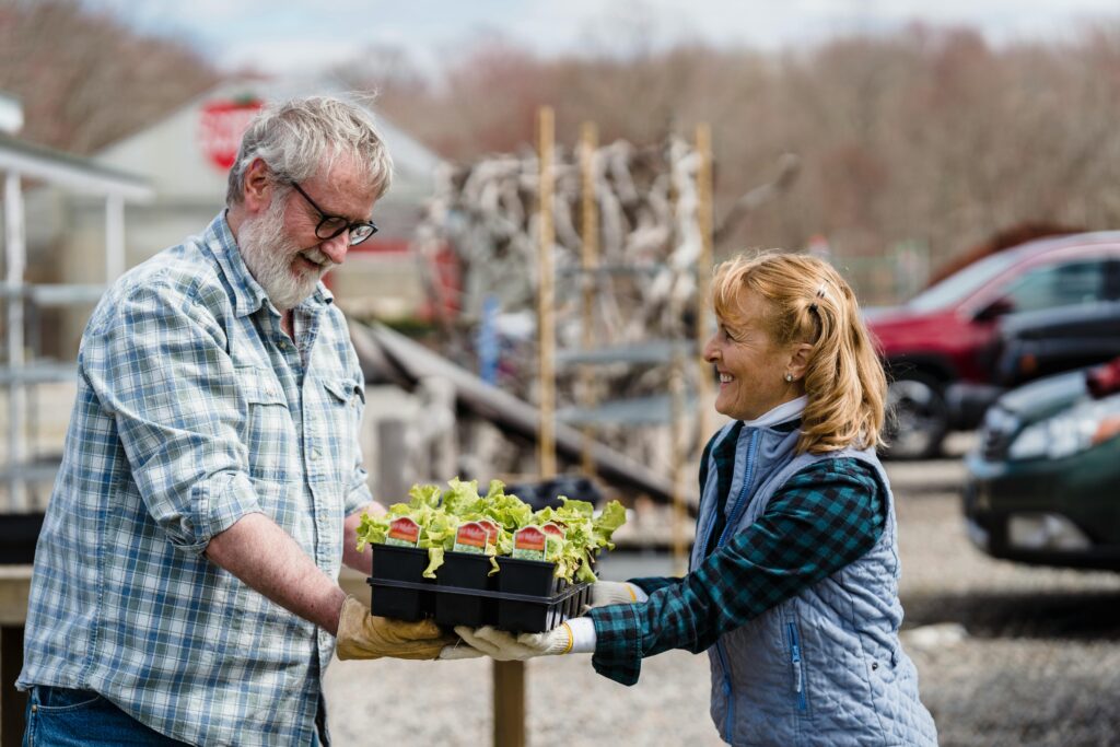 Senior couple joyfully tending to plants in a sunny rural farm setting, creating a sustainable lifestyle.